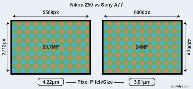 Z50 versus A77 MP