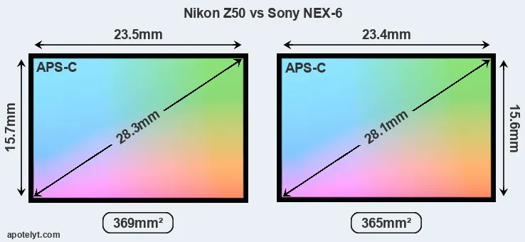 Nikon Z50 and Sony NEX-6 sensor measures