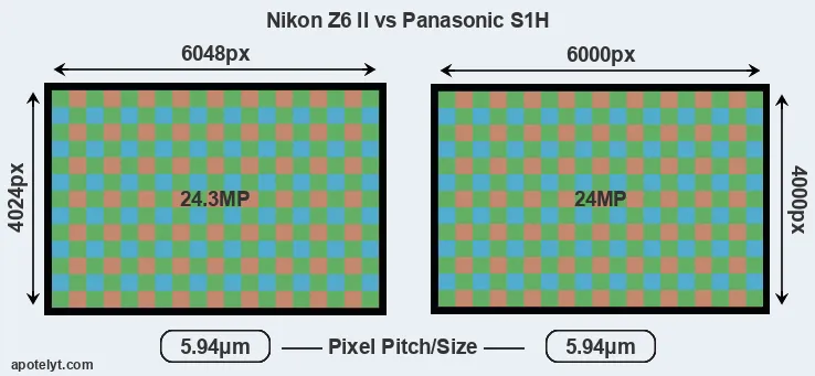 Z6 II versus S1H MP