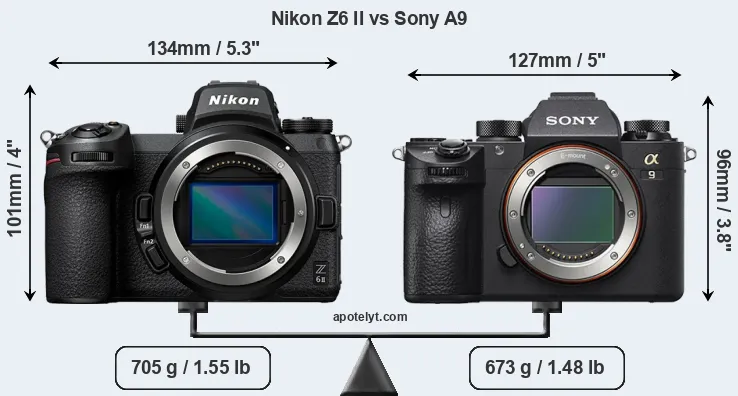 Size Nikon Z6 II vs Sony A9