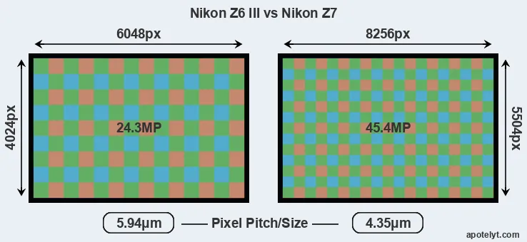Z6 III versus Z7 MP
