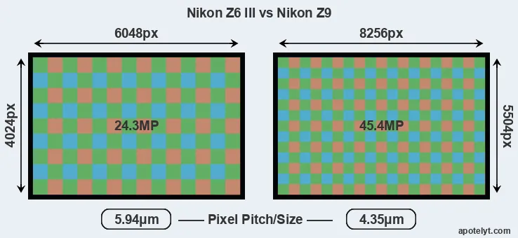 Z6 III versus Z9 MP