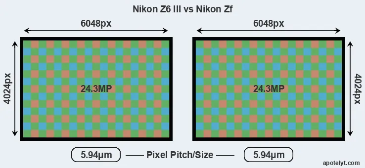 Z6 III versus Zf MP