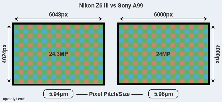 Z6 III versus A99 MP