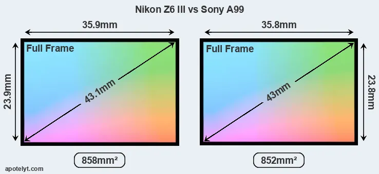 Nikon Z6 III and Sony A99 sensor measures