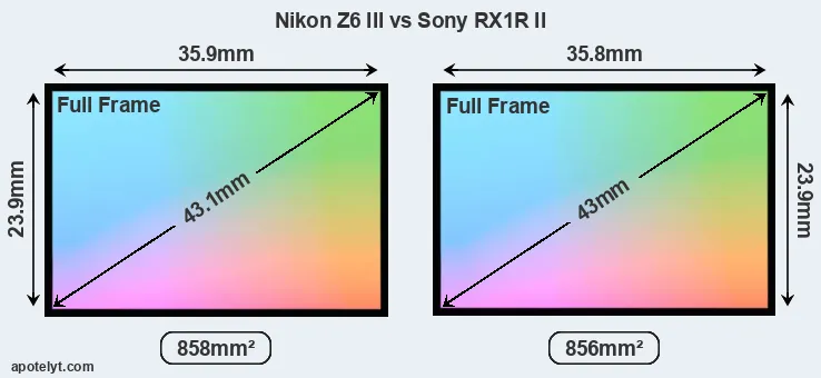 Nikon Z6 III and Sony RX1R II sensor measures