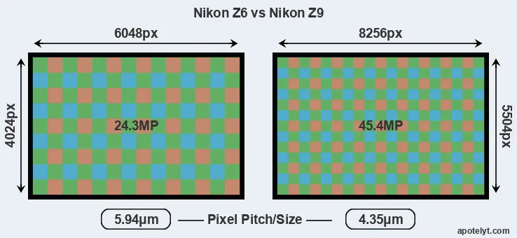 Z6 versus Z9 MP