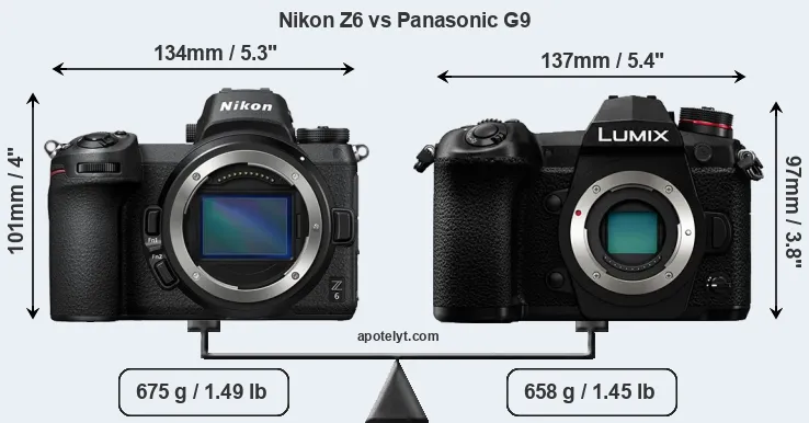 Size Nikon Z6 vs Panasonic G9