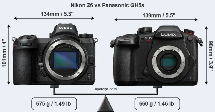 Size Nikon Z6 vs Panasonic GH5s