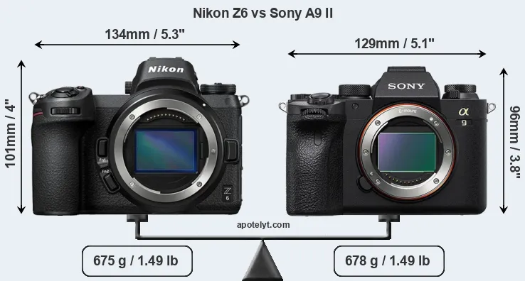 Size Nikon Z6 vs Sony A9 II