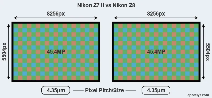 Z7 II versus Z8 MP