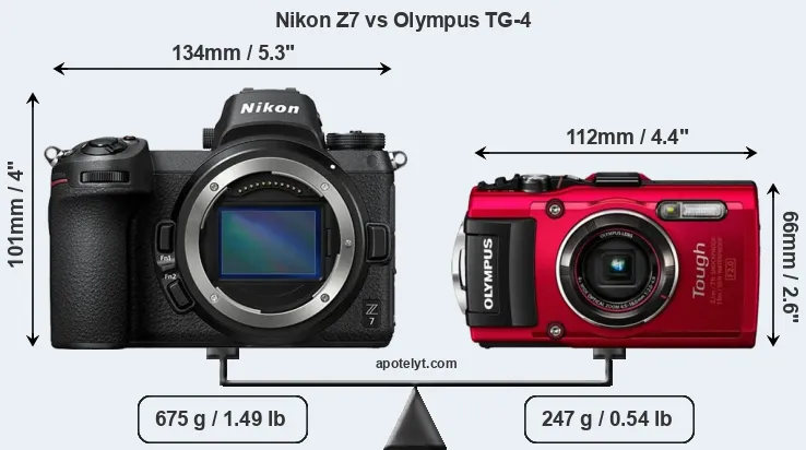 Size Nikon Z7 vs Olympus TG-4