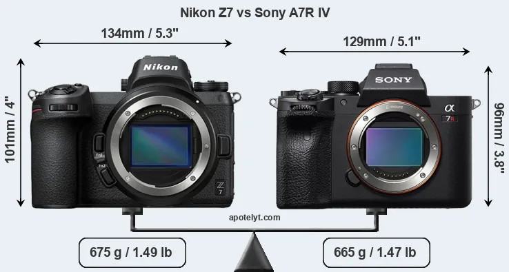 Size Nikon Z7 vs Sony A7R IV