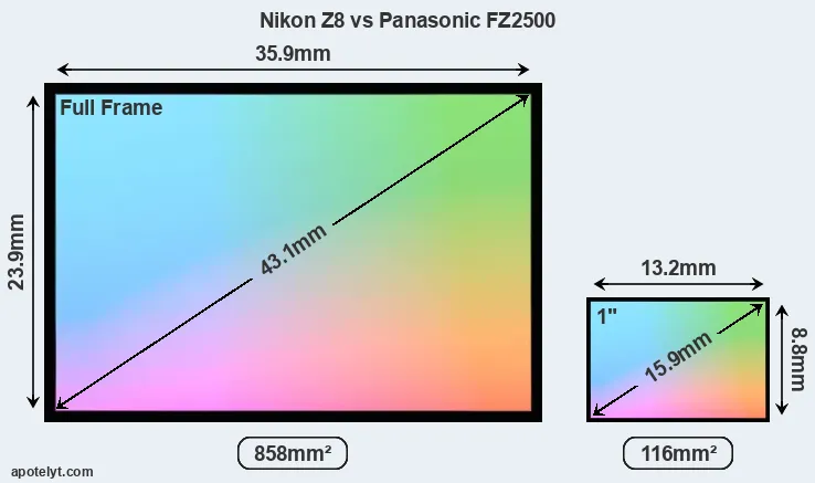 Nikon Z8 and Panasonic FZ2500 sensor measures