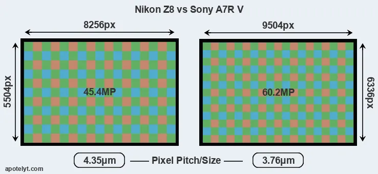 Z8 versus A7R V MP