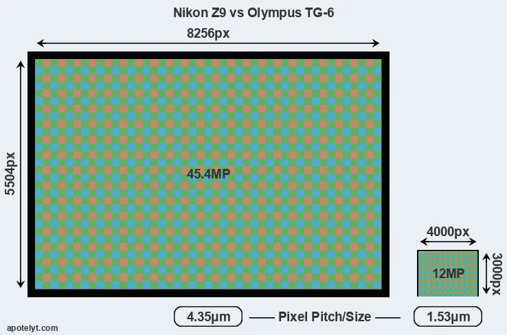 Z9 versus TG-6 MP