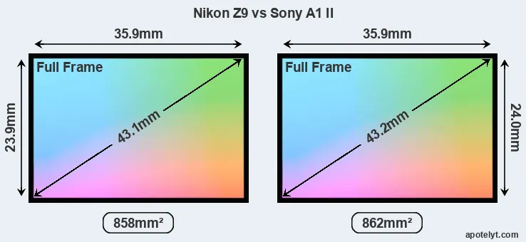 Nikon Z9 and Sony A1 II sensor measures