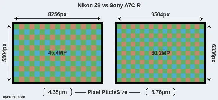 Z9 versus A7C R MP