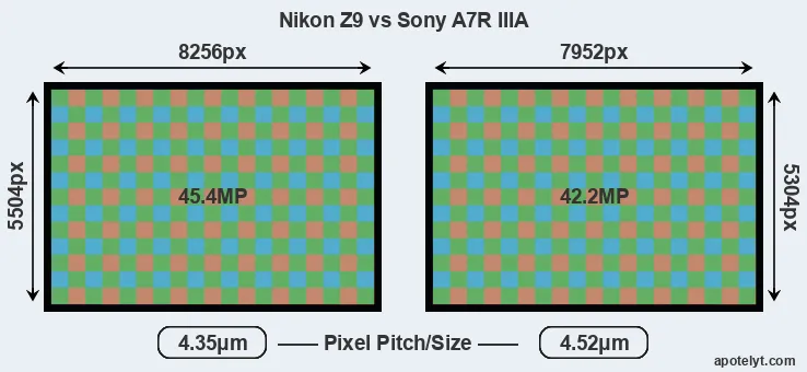 Z9 versus A7R IIIA MP