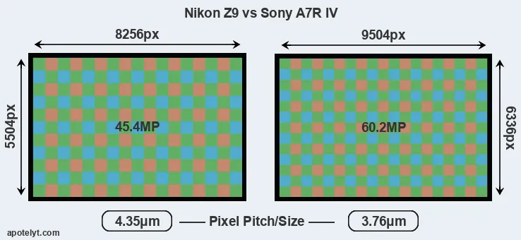 Z9 versus A7R IV MP