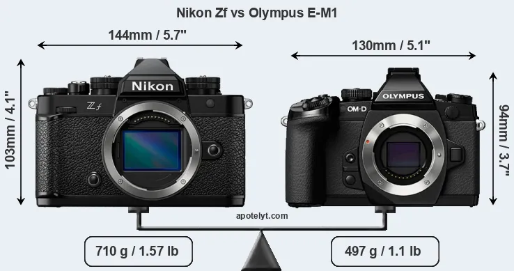 Size Nikon Zf vs Olympus E-M1