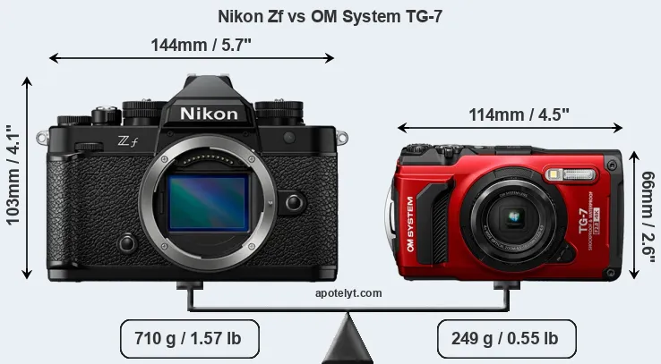 Size Nikon Zf vs OM System TG-7