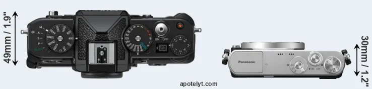 Compare Zf versus GM1 top