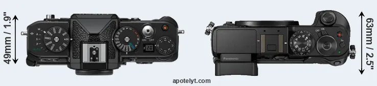 Compare Zf versus GX8 top