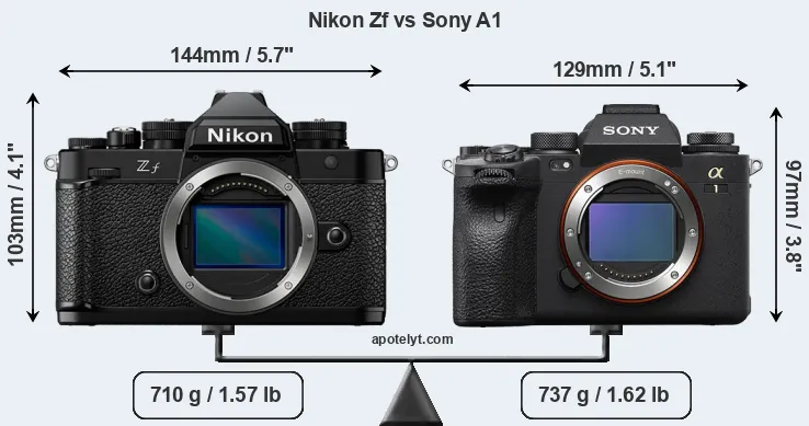 Size Nikon Zf vs Sony A1
