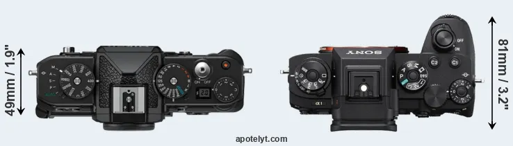 Compare Zf versus A1 top