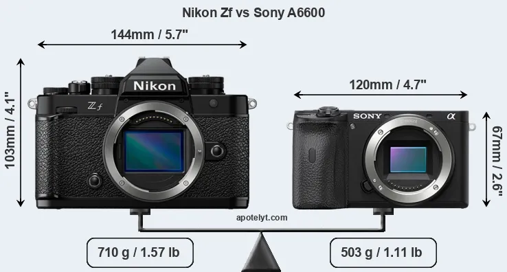 Size Nikon Zf vs Sony A6600