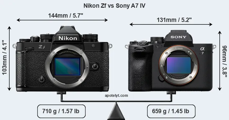 Size Nikon Zf vs Sony A7 IV