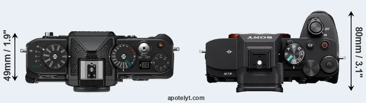 Compare Zf versus A7 IV top