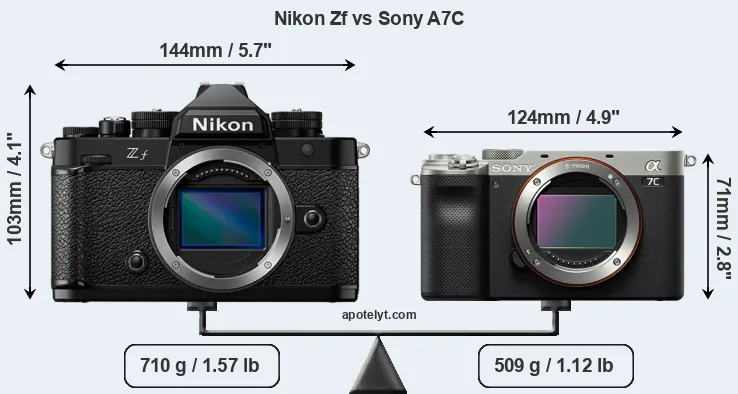 Size Nikon Zf vs Sony A7C