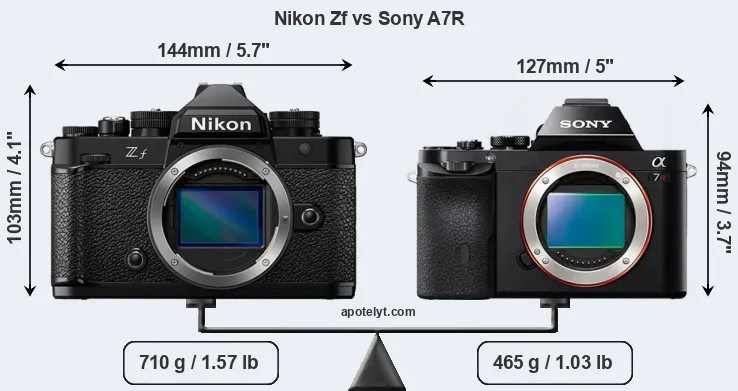 Size Nikon Zf vs Sony A7R