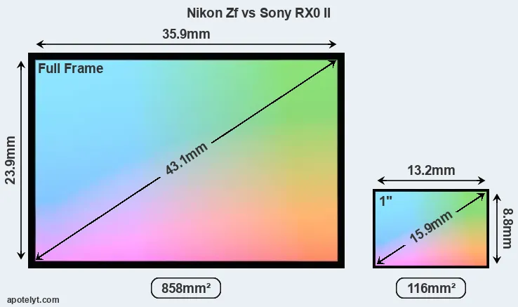 Nikon Zf and Sony RX0 II sensor measures