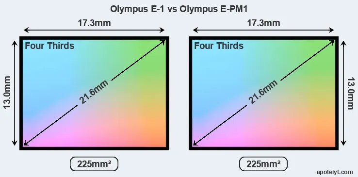 Olympus E-1 and Olympus E-PM1 sensor measures