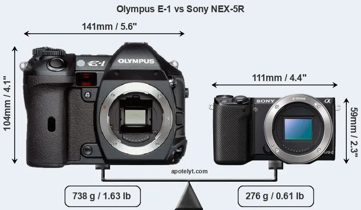 Size Olympus E-1 vs Sony NEX-5R