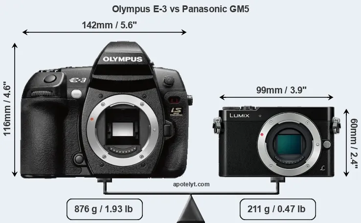 Size Olympus E-3 vs Panasonic GM5