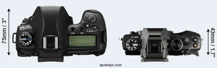 Compare E-30 versus E-M5 top