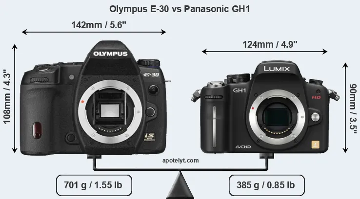 Size Olympus E-30 vs Panasonic GH1