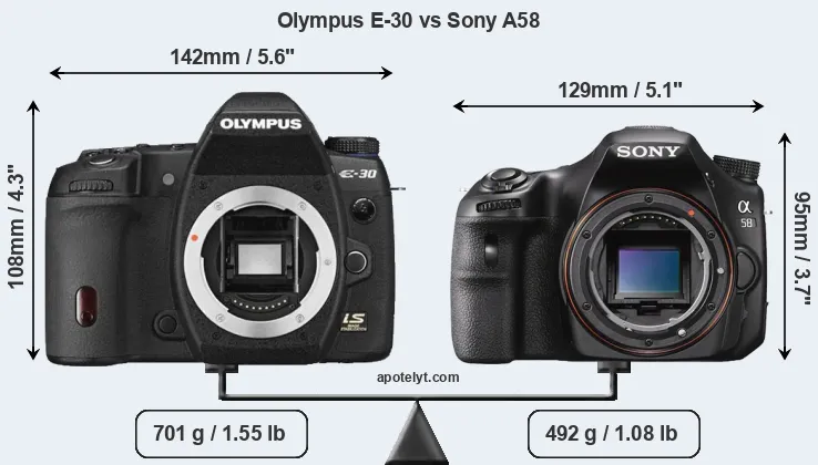 Size Olympus E-30 vs Sony A58