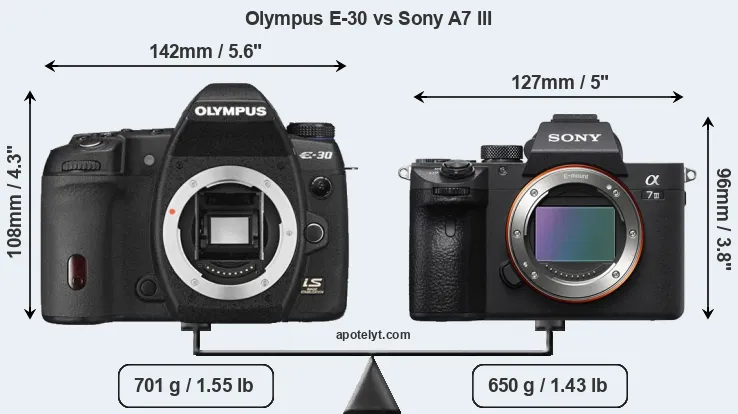 Size Olympus E-30 vs Sony A7 III