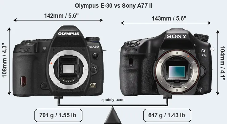 Size Olympus E-30 vs Sony A77 II