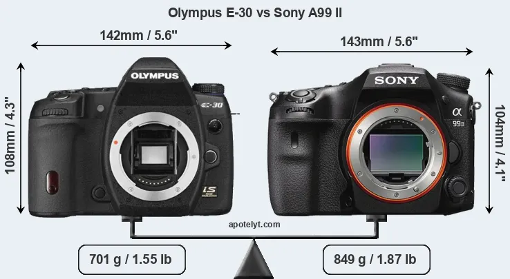Size Olympus E-30 vs Sony A99 II