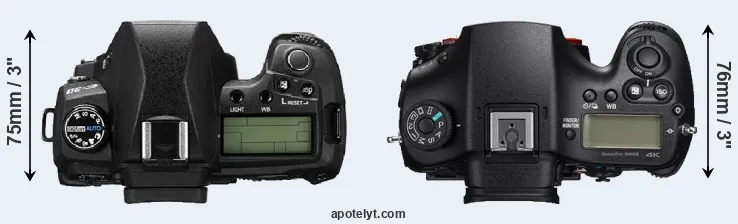 Compare E-30 versus A99 II top