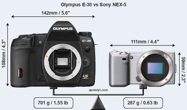 Size Olympus E-30 vs Sony NEX-5