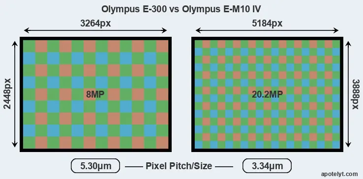 E-300 versus E-M10 IV MP