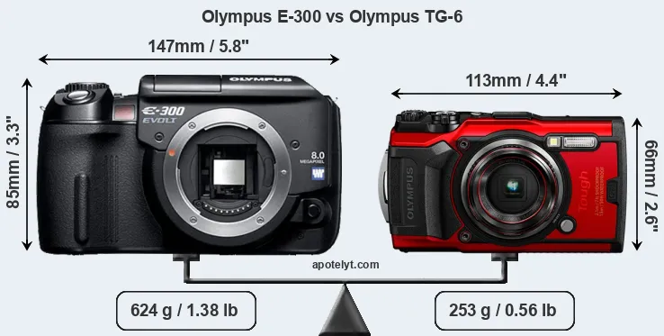 Size Olympus E-300 vs Olympus TG-6