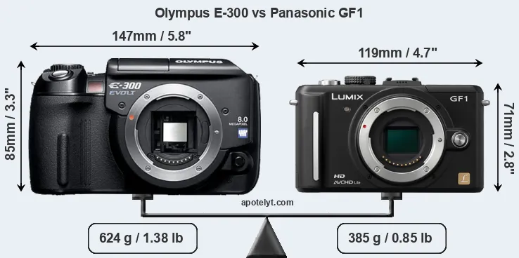 Size Olympus E-300 vs Panasonic GF1